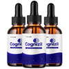 Image of Cognizil Advanced Nootropic Brain Health Support Drops Cogni Zil 90 Servings