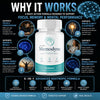 Image of Memodyne Nootropic Natural Brain Health Support Formula Memo dyne 60 Capsules
