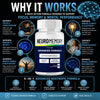 Image of NeuroMemory Nootropic Brain Health Support Supplement Neuro Memory 120 Capsules