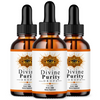 Image of Divine Purity Drops Nootropic Brain Health Max Support DivinePurity 90 Servings