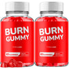 Image of (2 Pack) Burn Gummy ACV 1000MG Advanced Vitamin Supplement BurnGummy 120 Gummies