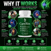 Image of CartiVex Advanced Joints and Mobility Support Supplement Carti Vex 180 Capsules