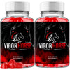 Image of Vigor Horse ACV Gums Advanced Male Health Support Formula VigorHorse 120 Gummies
