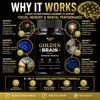 Image of Golden Brain Nootropic Natural Brain Health Max Support GoldenBrain 60 Capsules
