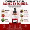 Image of Steady Flow Drops Advanced Blood Health Support Formula SteadyFlow 90 Servings