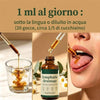 Image of Lymphatic Drainage Drops Herbal Liquid Lymph Support Wellness Tincture