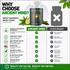 Image of (1 Pack) Ancient Mind Elixir Advanced Natural Brain Support Formula 60 Capsules