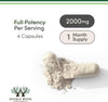 Image of Magnesium L Threonate, Magtein, Sleep and Cognitive Support  – 120 Capsules