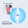 Image of Synocell Joint Support with ASU, Quercetin, Boswellia & Hyaluronic Acid | Daily joint support supplement for women & men, for mobility, flexibility, cartilage support & comfort.1-pack, 60 capsules.