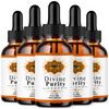 Image of Divine Purity Drops Nootropic Brain Health Max Support DivinePurity 150 Servings