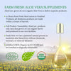 Image of AloeCure Organic Aloe Vera Supplement 160,000mg 60 Capsules - ARMOLEY