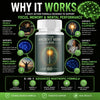 Image of (1 Pack) Ancient Mind Elixir Advanced Natural Brain Support Formula 60 Capsules