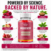 Image of (5 Pack) Renew31 ACV Gummys 1000MG Advanced Renew 31 Supplement 300 Gummies
