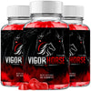 Image of Vigor Horse ACV Gums Advanced Male Health Support Formula VigorHorse 180 Gummies