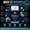 Image of BrainRenew Nootropic Natural Brain Support Supplement Brain Renew 120 Capsules
