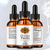 Image of Divine Purity Drops Nootropic Brain Health Max Support DivinePurity 30 Servings