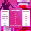 Image of (5 Pack) Lipotrine ACV Gummys 1000MG Advanced Supplement Lipo Trine 300 Gummies