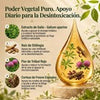 Image of Lymphatic Drainage Drops Herbal Liquid Lymph Support Wellness Tincture