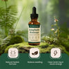 Image of 5X Lymphoria - Lymphatic Drainage 59ml - Detox, Bloat Relief & Immune Support..