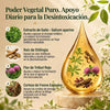 Image of Lymphatic Drainage Drops Herbal Liquid Lymph Support Wellness Tincture
