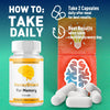 Image of (1 Pack) Honey Shield Nootropic Natural Brain Support HoneyShield 60 Capsules
