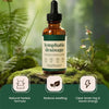 Image of 3X Lymphatic Drainage 59ml - Detox, Bloat Relief & Immune Support