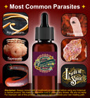 Powerful Parasite Cleanse Parasite Detox SAFE FAST EASY Liquid Drops USA