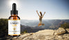 Image of Ginger Slim Drops – GingerSlim Extra Strength All Natural Organic (5 Pack)