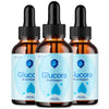 Image of (3 Pack) Glucora Blood Support Drops Glucora Vitamin Supplement 90 Servings