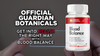 Image of Guardian Botanicals Blood Balance Advanced Glycogen Vitamin (2 Pack-120 Capsules)