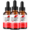 Image of (3 Pack) Glyco Reset Drops Advanced Blood Support Supplement GlycoReset 90 Servs