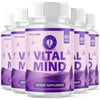 Image of (5 Pack) Vital Mind Nootropic All Natural Brain Supplement VitalMind 300 Capsule