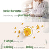 Image of Ingredients Oil of Oregano 300 Softgels Formulated with Black Seed Oil Strength