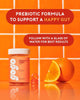 Image of Gogo Prebiotics Fiber Gummies -60 Count