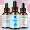 Image of (3 Pack) Glucora Blood Support Drops Glucora Vitamin Supplement 90 Servings