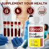 Image of (5 Pack) GlycoQ Blood Pills Advanced Support Glyco Q Fomula 300 Capsules
