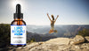 Image of Lipo Mounj Drops Advanced Formula Support Supplement (3 Pack)