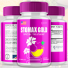 Image of Stomax Gold Probiotic Gut Health Formula Enhance Digestive Function (2 Pack - 120 Capsules)