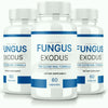 Image of (3 Pack) Fungus Exodus Supplement Pills to Combat Toenail Fungus and Restore Nail Health 180 Capsules