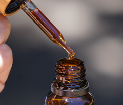 Blood Detox Tincture Blood Cleanse Herbal Botanical