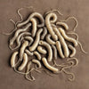 Image of Parasite Tincture Wormwood Walnut Hull Cloves 2oz