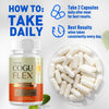 Image of (2 Pack) Cogu Flex Joints Support Advanced Vitamin Formula CoguFlex 120 Capsules
