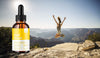 Image of (2 Pack) Vital Drops Maximum Strength Keto Formula Weight Management Supplement 60ML