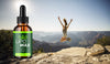 Image of Lipo Max Drops Advanced Formula Health & Fitness Supplement 30 Serving (1 Pack)