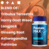 Image of Prostate Max Formula Supplement Pills (5 Pack - 300 Capsules)